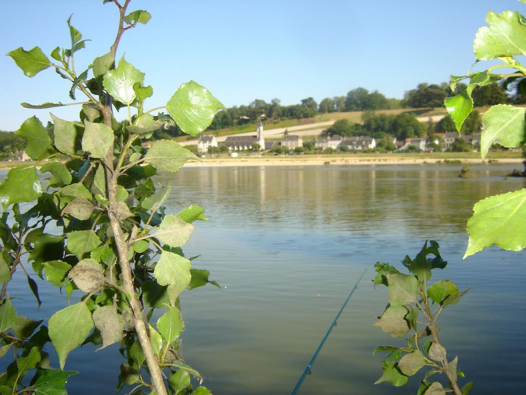 Les Bords De Loire Apartment Veuves Room photo