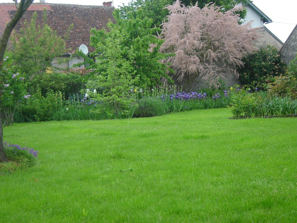 Les Bords De Loire Apartment Veuves Room photo